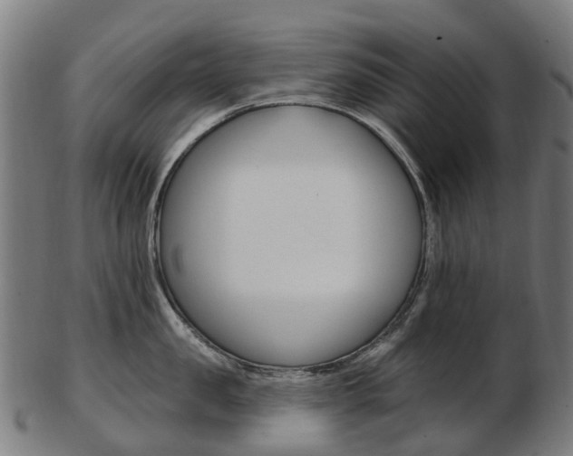 X0000103490957200809120947
