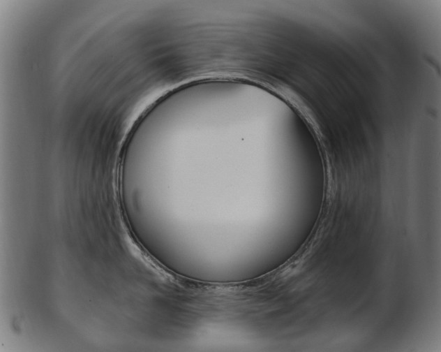 X0000103490958200809120947