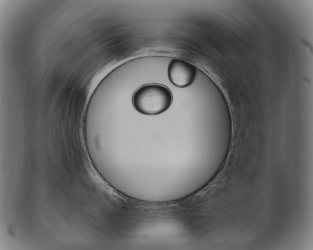 X0000103490960200809120947