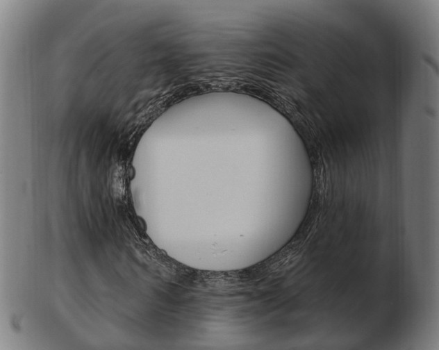 X0000103490962200809120947
