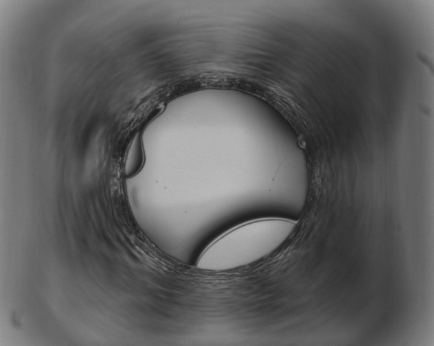 X0000103490964200809120947