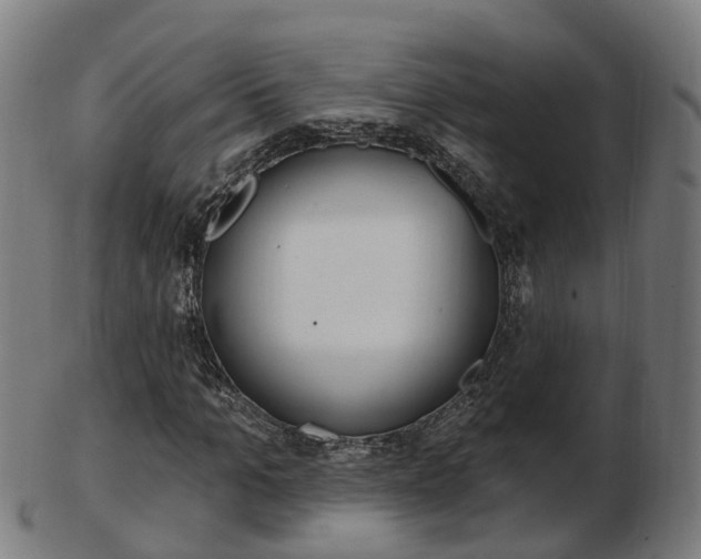 X0000103490965200809120947