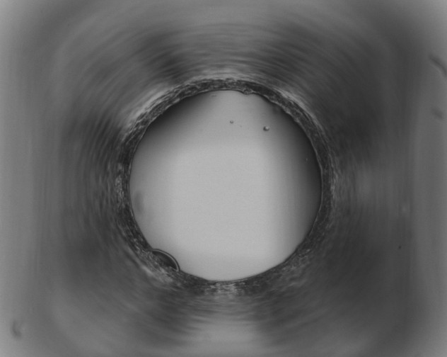 X0000103490968200809120947