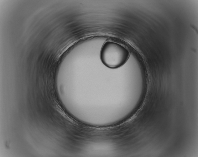 X0000103490969200809120947