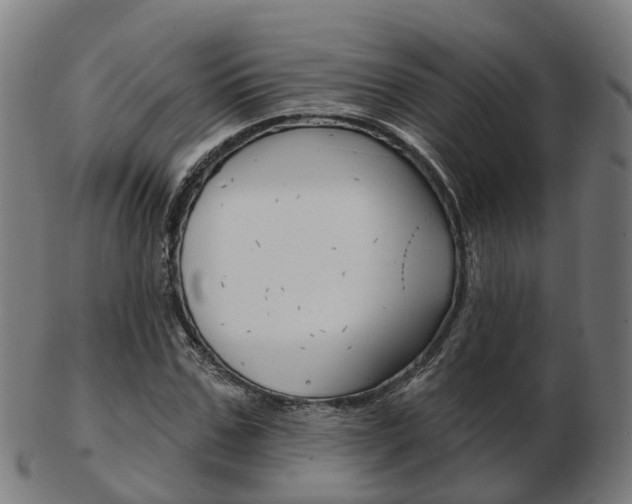X0000103490971200809120947