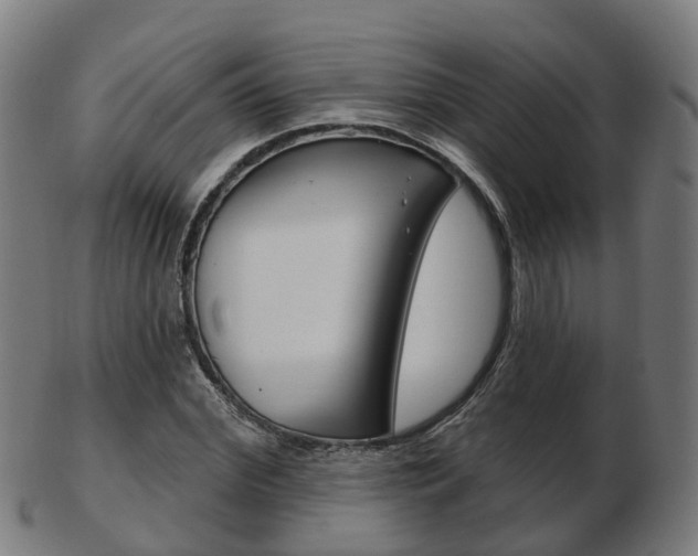 X0000103490972200809120947
