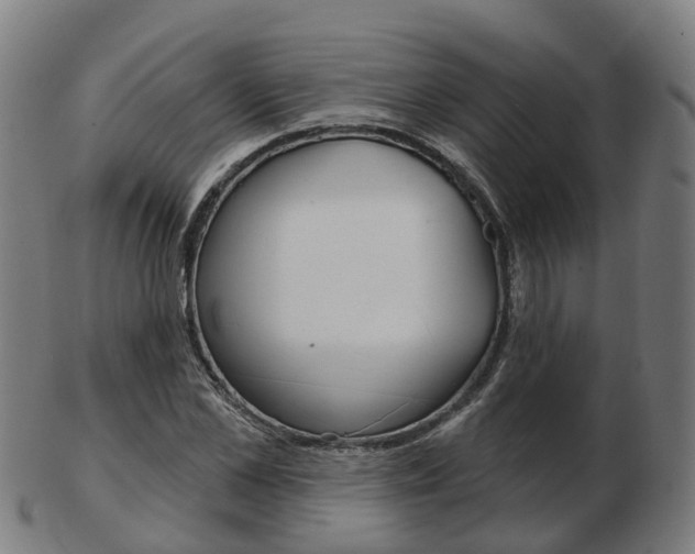 X0000103490973200809120947