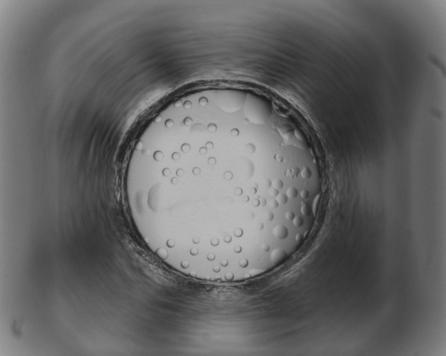 X0000103490974200809120947