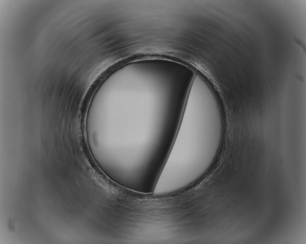 X0000103490976200809120947