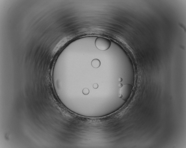 X0000103490978200809120947