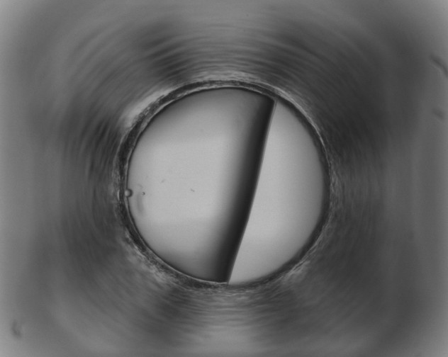 X0000103490979200809120946