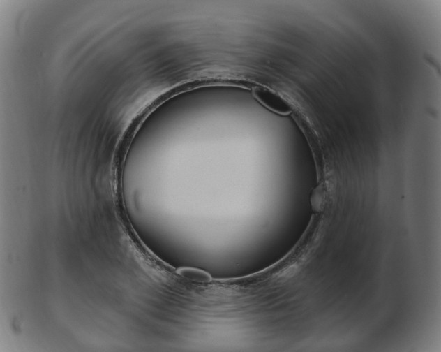 X0000103490981200809120946