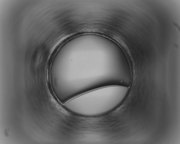 X0000103490984200809120946