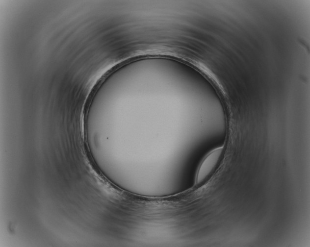 X0000103490988200809120946