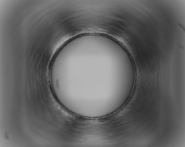 X0000103490990200809120946