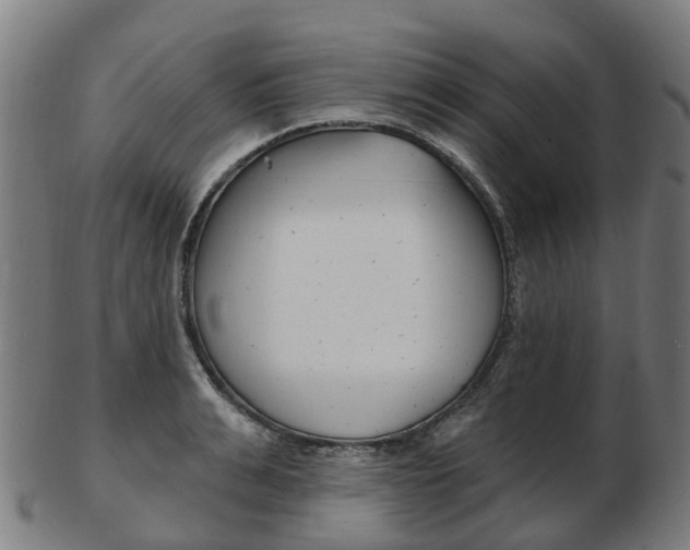 X0000103490991200809120946