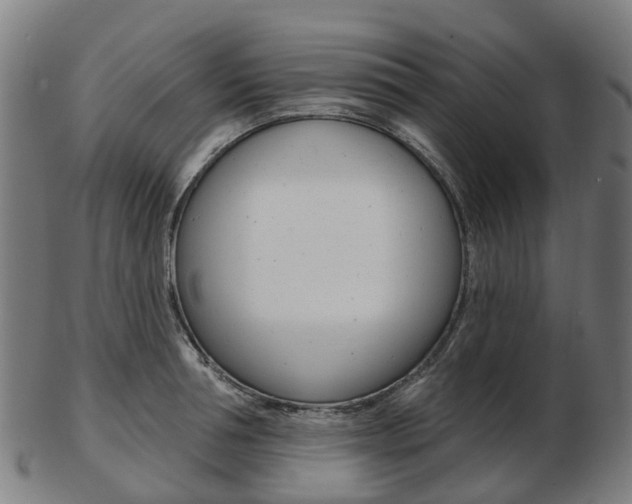 X0000103490994200809120946