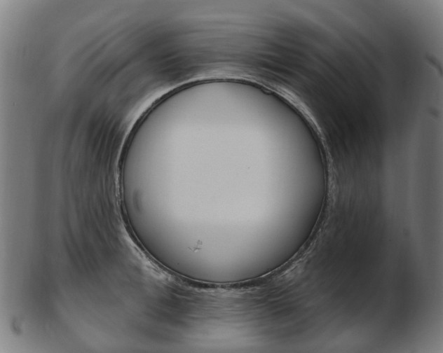 X0000103490996200809120946