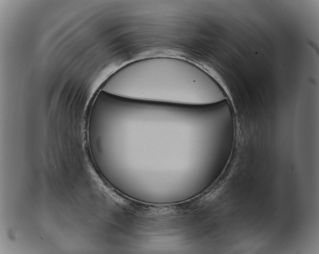 X0000103490997200809120946