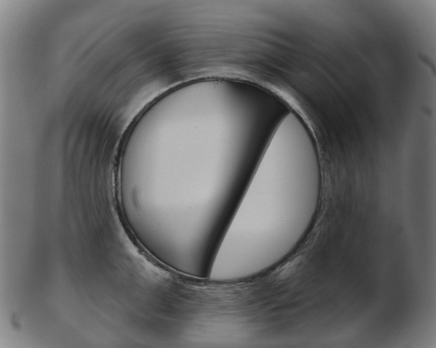 X0000103490999200809120946