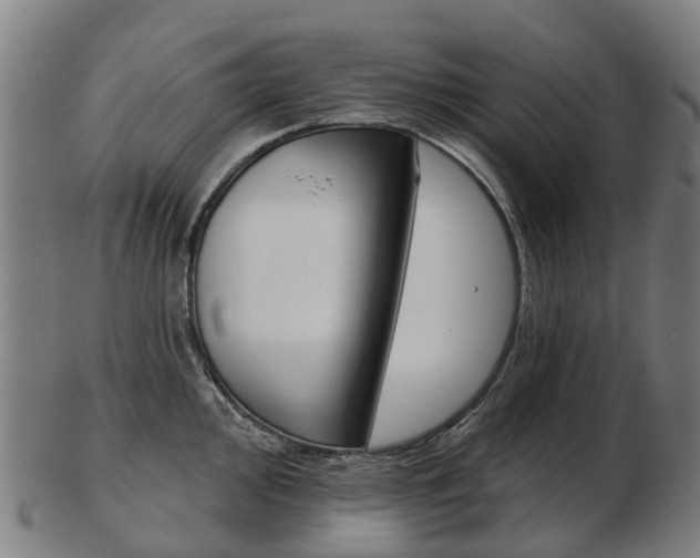 X0000103491000200809120946