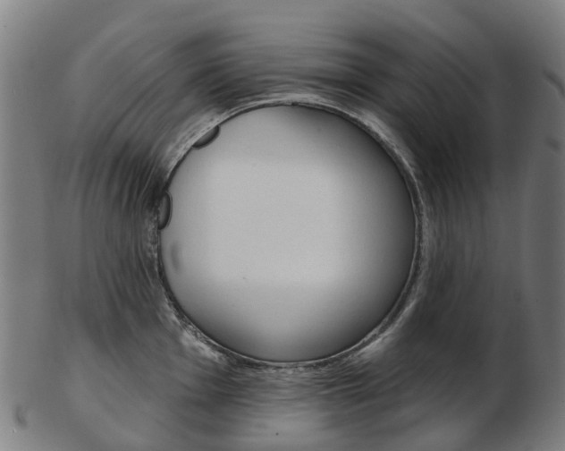 X0000103491001200809120946