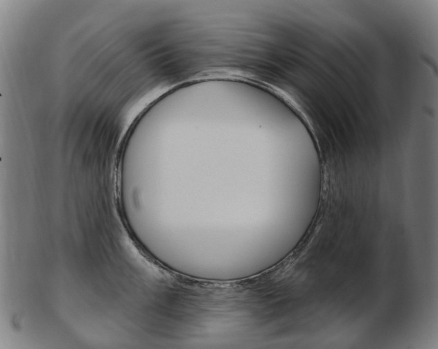 X0000103491003200809120946