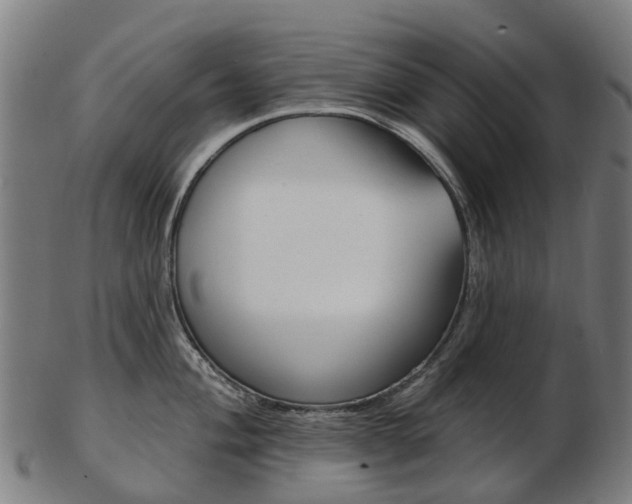 X0000103491004200809120946
