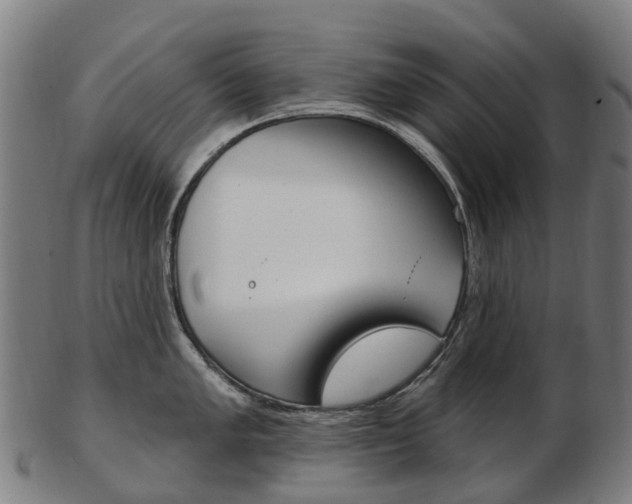 X0000103491005200809120946
