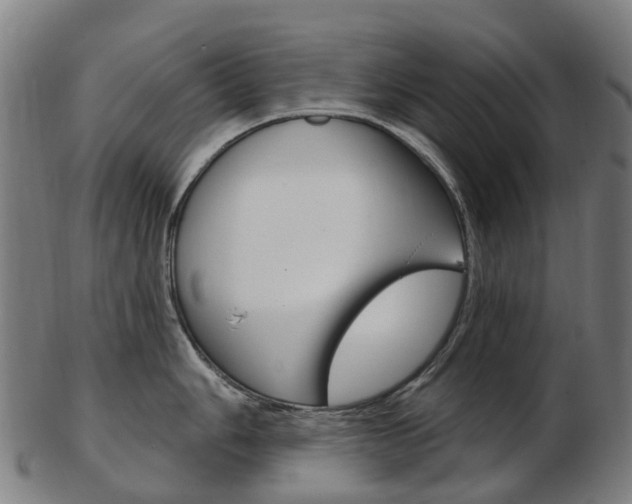 X0000103491006200809120946