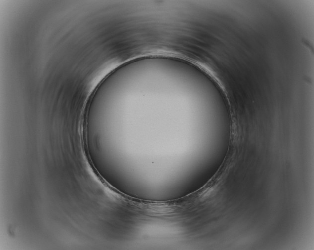 X0000103491007200809120946