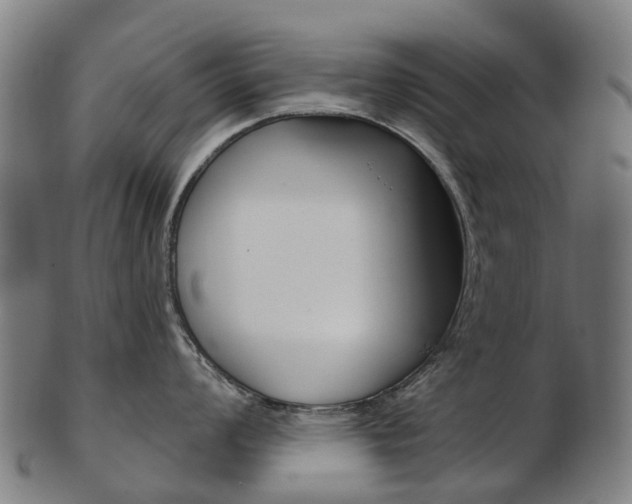 X0000103491008200809120946