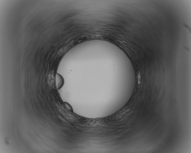 X0000103491011200809120945