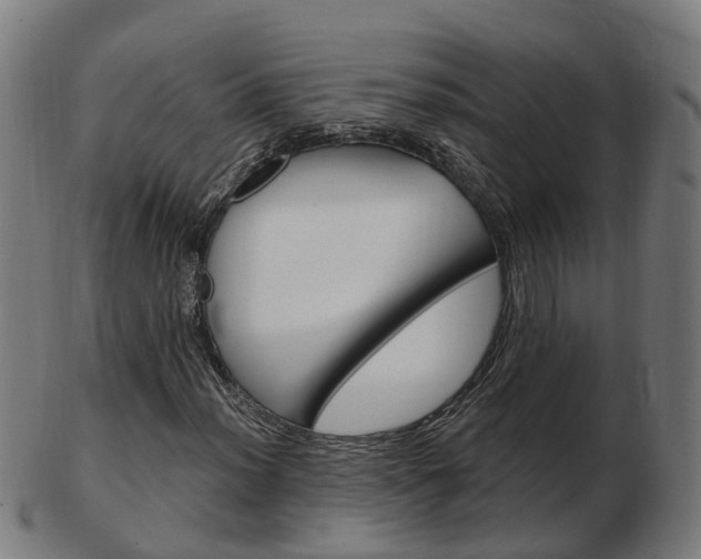 X0000103491012200809120945