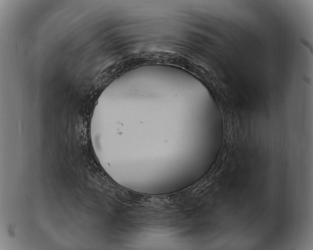 X0000103491013200809120945