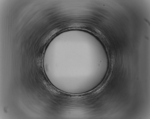 X0000103491017200809120946