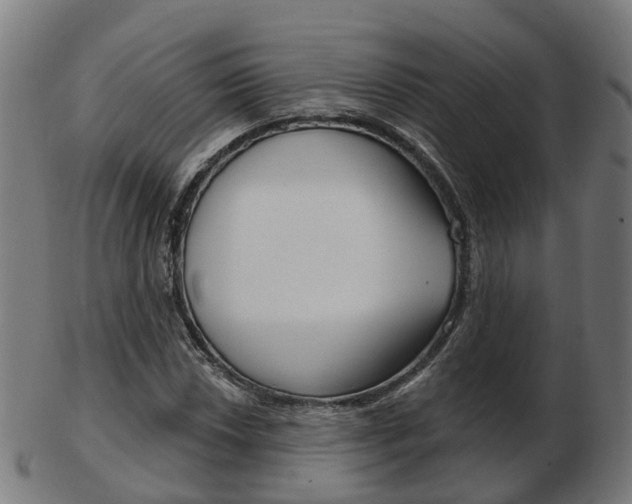 X0000103491018200809120946