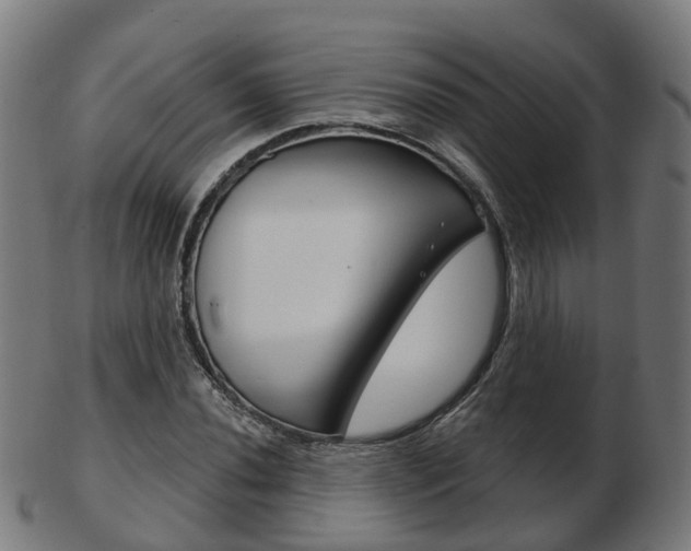 X0000103491020200809120946
