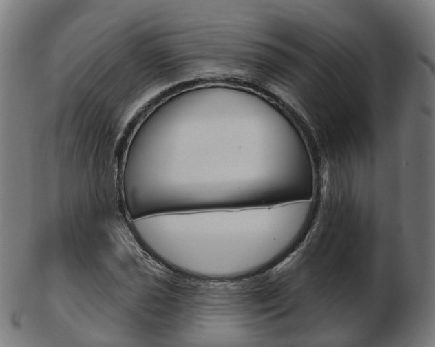 X0000103491021200809120946
