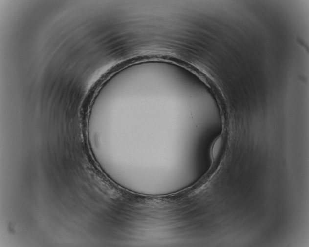 X0000103491022200809120946
