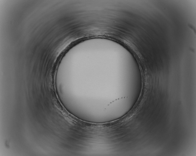 X0000103491023200809120946