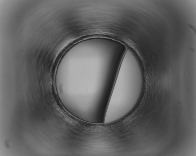 X0000103491024200809120946