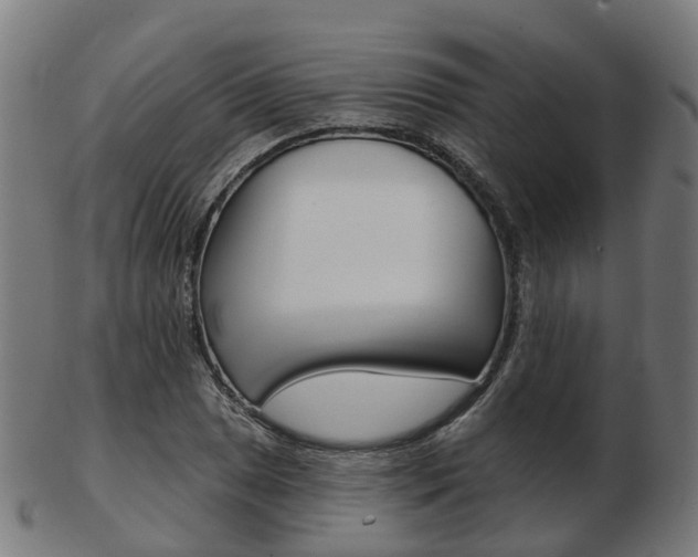 X0000103491025200809120946