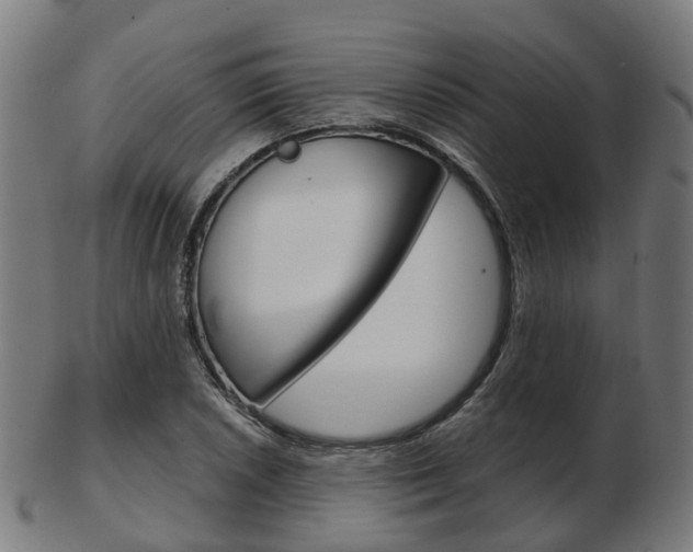 X0000103491026200809120946