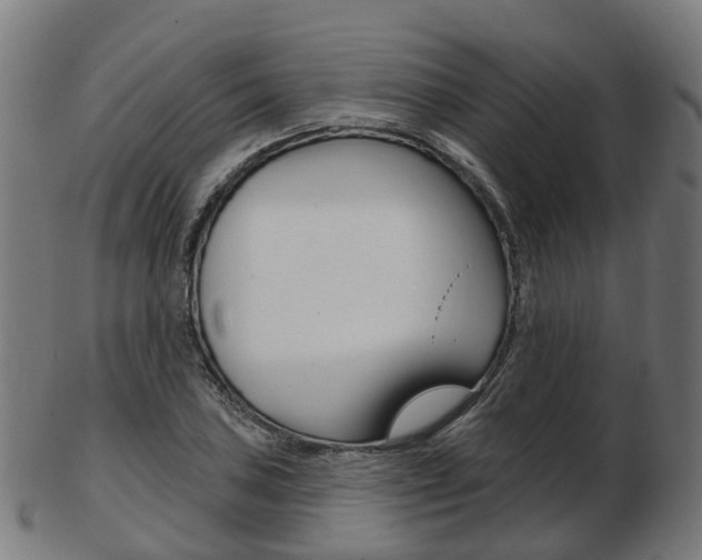 X0000103491027200809120946