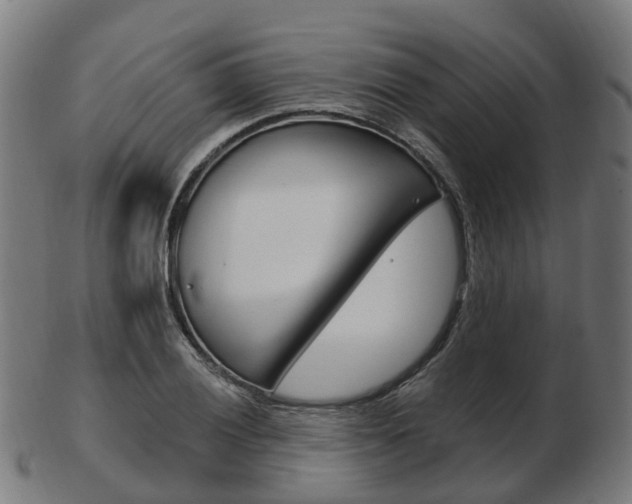 X0000103491028200809120946