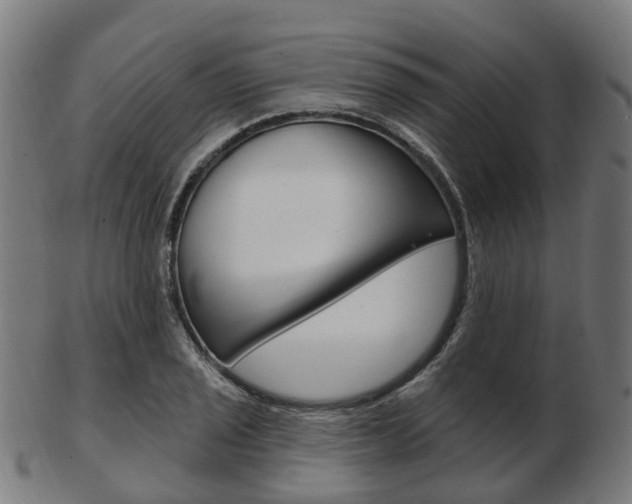 X0000103491029200809120946