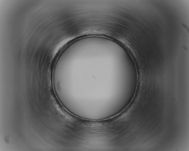 X0000103491030200809120946