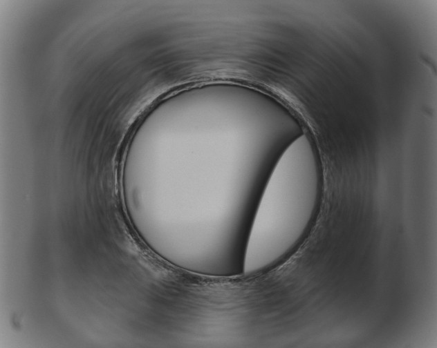 X0000103491031200809120946