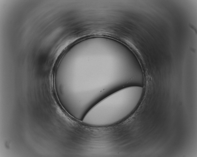 X0000103491032200809120946